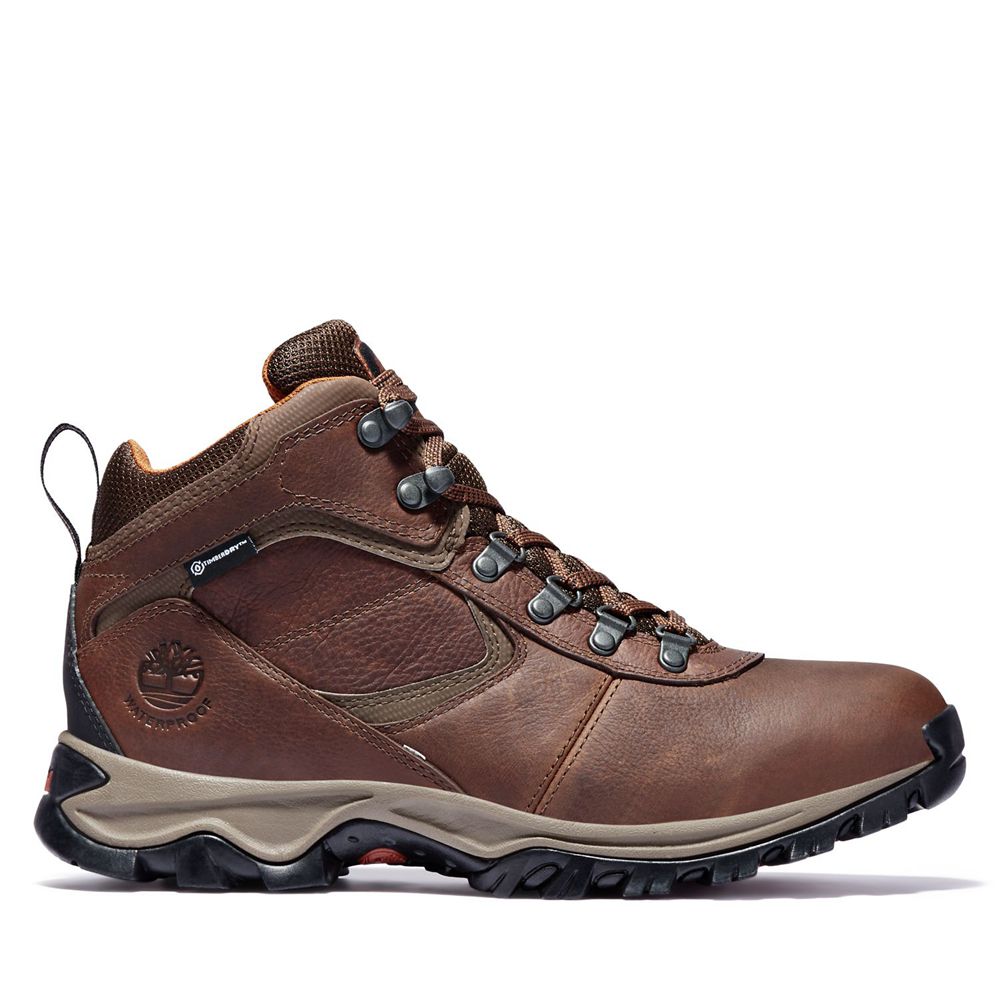 Botas de Montaña Timberland Hombre Mt. Maddsen Mid Waterproof Marrones - Chile AQK-843271